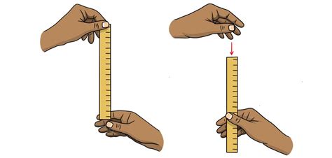 ruler drop test purpose|ruler drop test disadvantages.